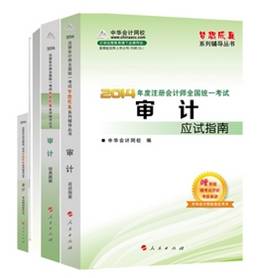 2014年“夢想成真”系列注會五冊通關全書－－審計