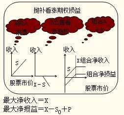 拋補(bǔ)看漲期權(quán) 