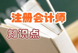 注冊會計(jì)師風(fēng)險(xiǎn)管理知識點(diǎn)