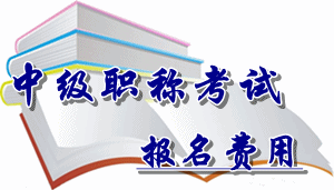 廣西省2016年中級會計(jì)職稱考試報(bào)名費(fèi)用