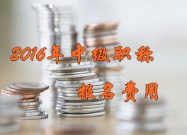 2016年中級(jí)會(huì)計(jì)職稱(chēng)考試報(bào)名費(fèi)用