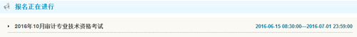 甘肅2016年初級審計(jì)師考試報(bào)名入口