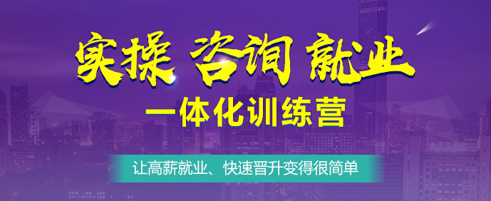 實操咨詢就業(yè)一體化訓練營