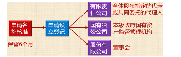 設立登記