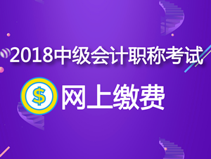 新疆2018年中級會計職稱網(wǎng)上繳費及收費標準