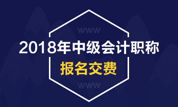 四川2018年中級會計職稱網(wǎng)上繳費(fèi)及收費(fèi)標(biāo)準(zhǔn)