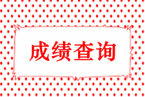 長(zhǎng)春中級(jí)職稱考試成績(jī)什么時(shí)候出來(lái)？