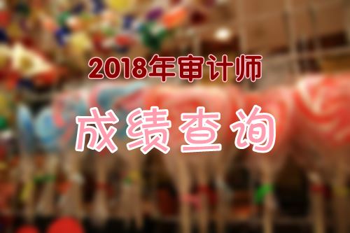 2018年審計(jì)專業(yè)技術(shù)初、中級資格成績什么時(shí)候可以查詢？