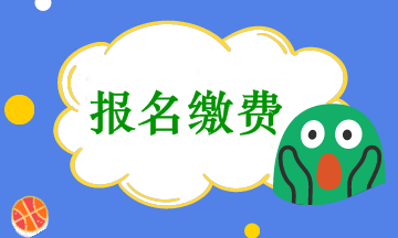 會(huì)計(jì)中級(jí)考試報(bào)名收費(fèi)是在網(wǎng)上繳費(fèi)嗎？