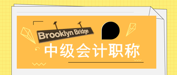 2020年寧夏中級(jí)會(huì)計(jì)師報(bào)名審核時(shí)需提交哪些資料？