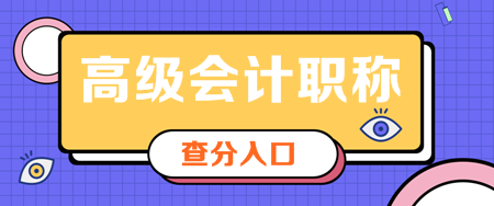 安徽2019年會計(jì)高級職稱成績公布了