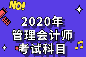 2020年管理會計(jì)師考試科目