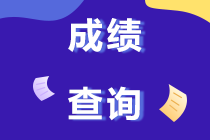 2019年上海注冊(cè)會(huì)計(jì)師考試成績(jī)查詢時(shí)間哪天開始？