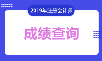 注冊(cè)會(huì)計(jì)師成績(jī)2019