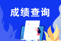 什么條件能申請2019注會成績復(fù)核？