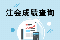 2019注會考試成績什么時候出來？