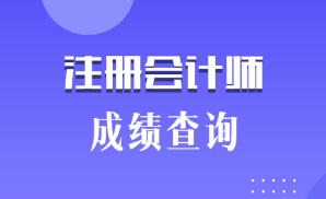 注會考試什么時候可以查詢成績？