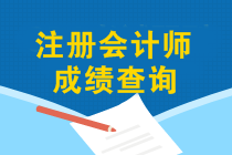 注會(huì)成績(jī)查詢?nèi)肟谑裁磿r(shí)候開通