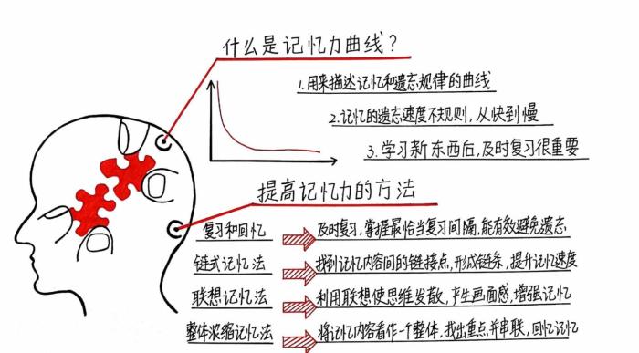 351記憶法 AICPA備考拒絕遺忘！