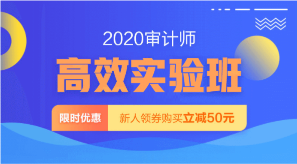 2020審計(jì)師高效實(shí)驗(yàn)班課程