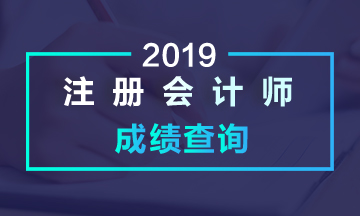 2019年福建注會(huì)成績(jī)查詢時(shí)間