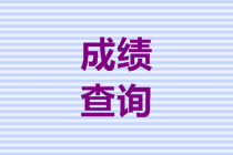 安徽2019高級(jí)會(huì)計(jì)師成績(jī)查詢步驟