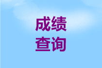 新疆2019高級(jí)會(huì)計(jì)師成績(jī)查詢時(shí)間