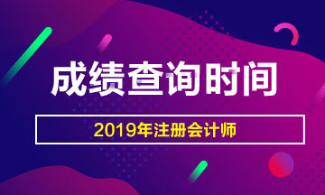 2019年注冊會計師考試成績查詢預(yù)計時間