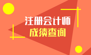 2019注會(huì)考試成績(jī)查詢