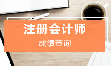 2019浙江注冊會計師綜合考試什么時候出成績？