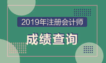 2019年廣西什么時候可以查注冊會計師成績？