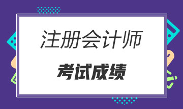 2019年青海西寧注冊會計師什么時候能查成績？