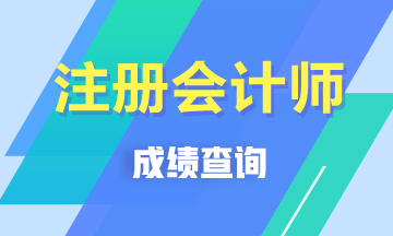 2019四川成都注冊會計師成績什么時間出？