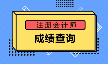 安徽蕪湖注冊會計(jì)師成績查詢