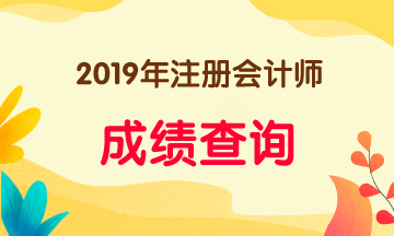 安徽2019年注冊會計(jì)師成績查詢