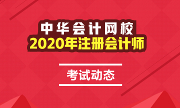 2020年cpa考試時(shí)間是哪天？