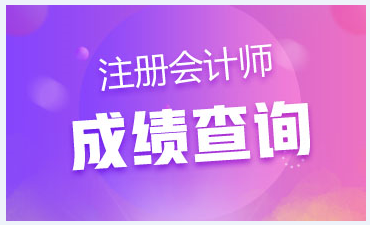 2019注會(huì)海南成績查詢已開始