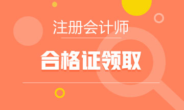 徐州2019年注會(huì)專業(yè)階段合格證