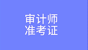 2020審計師準(zhǔn)考證打印