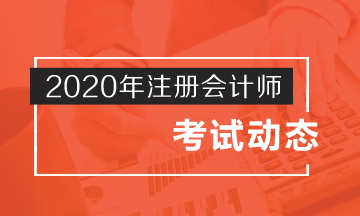 2020年注冊(cè)會(huì)計(jì)師考試