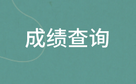 2020中級審計師成績查詢信息