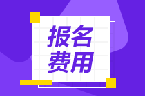 財政廳關(guān)于調(diào)整寧夏2020年注冊會計師考試收費標準的批復已