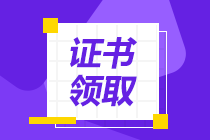 廣西百色中級會計(jì)申領(lǐng)證書材料辦理