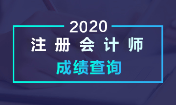 2020青海注會(huì)考試成績(jī)查詢(xún)時(shí)間