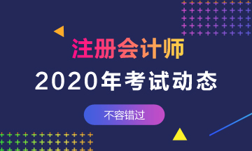 山東地區(qū)2020年注冊會計師什么時候考試？