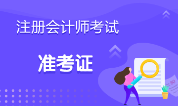 2020年cpa準(zhǔn)考證什么時候打??？