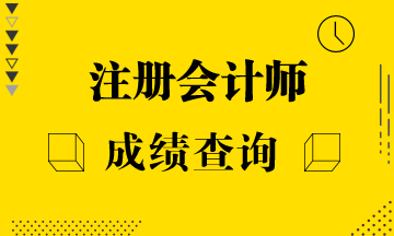 內(nèi)蒙古2020年CPA什么時(shí)候可以查成績？