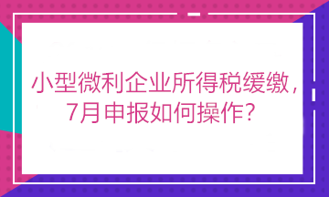 小型微利企業(yè)所得稅緩繳，7月申報如何操作？看這里！