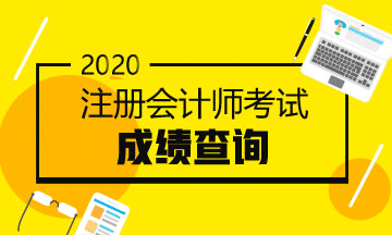 安徽2020年注冊(cè)會(huì)計(jì)師考試成績(jī)查詢時(shí)間新鮮出爐！