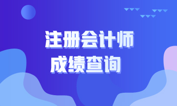 湖北2020注會(huì)考試成績(jī)查詢時(shí)間